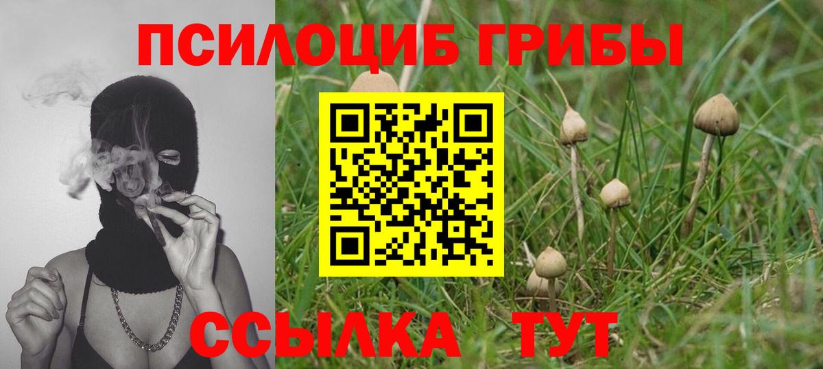 купить наркоту  Вход с VPN  Ливны  Галлюциногенные грибы Psilocybe  Псилоцибиновые грибы мицелий 