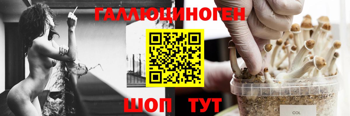 Псилоцибиновые грибы ЛСД Ливны